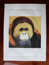送料無料★アンディ・ウォーホルAndy Warhol (Orangutan)オラウータン★限定数売★販売証明書付属★リトグラフ 1/300★エスタンプ★超特価 _画像1