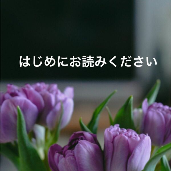 【購入不可】はじめにお読みいただきたい注意事項です