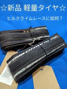 ☆2本 軽量 190g 決戦用 RUBINO PRO SPEED Ⅳ G2.0 23c☆