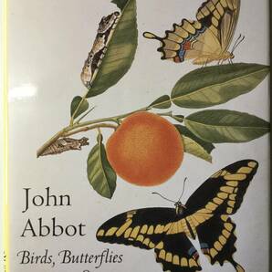 自然の美■ARTBOOK_OUTLET■W2-062★送料無料！ジョンアボットが描く鳥蝶と不思議な生き物 ロンドン自然歴史博物館刊 世界のアートブック