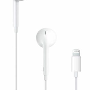 Apple EarPods with Lightning Connector