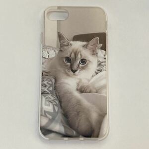 新品　iphoneケース　7/8/SE2.3用 猫のスマホケース　cat かわいい可愛い　癒し　ねこ 写真　動物　ネコ　キャラクター 実写
