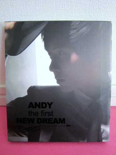 K-POP♪ アンディ（SHINHWA 神話 シンファ）1集「ANDY The First New Dream」韓国盤CD／廃盤！ディスク傷無し良好！Wonder Girls ユビン