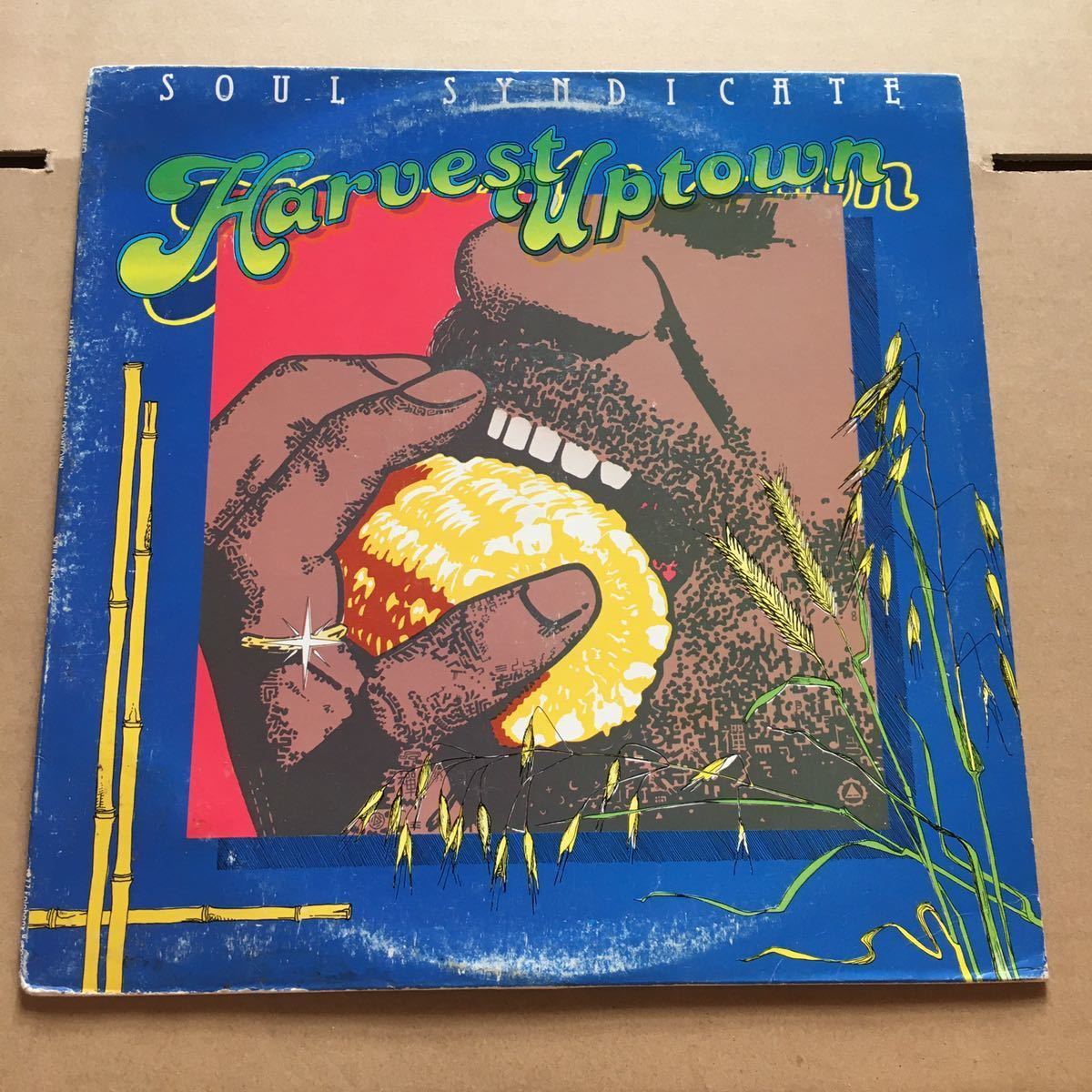 2023年最新】ヤフオク! -soul syndicate lp(レコード)の中古品・新品