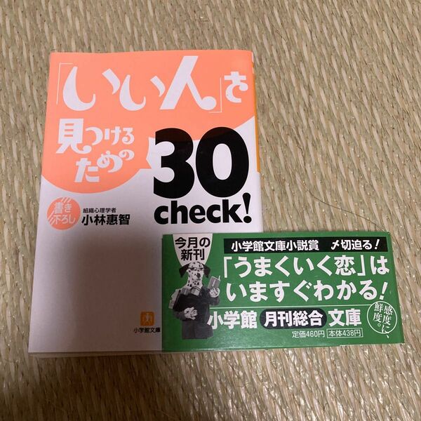 小学館文庫「「いい人」を見つけるための30check!」小林惠智