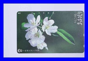 ●未使用 テレホンカードりんごの花 テレカ 50度数 T0007