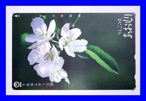 # new goods unused telephone card telephone card Aomori .... apple. flower apple T0932