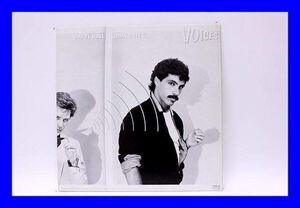 ●美品 LP レコード ダリル・ホール ジョン・オーツ Daryl Hall John Oates Voices 国内盤 日本盤Z0615