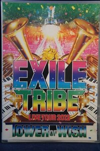 98_04541　EXILE TRIBE LIVE TOUR 2012 ～TOWER OF WISH
