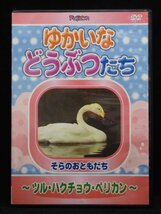 94_06510 ゆかいなどうぶつたち ~ツル・ハクチョウ・ペリカン~ [DVD]/どうぶつナレーター:中谷 真希枝　松本 亜梨　神農 友貴_画像1