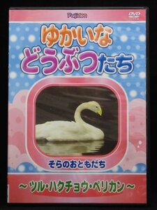 94_06505 ゆかいなどうぶつたち ~ツル・ハクチョウ・ペリカン~ [DVD]/どうぶつナレーター:中谷 真希枝　松本 亜梨　神農 友貴