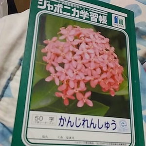 50字の値段と価格推移は 45件の売買情報を集計した50字の価格や価値の推移データを公開 50字の値段と価格推移は 45件の売買情報を集計した50字の価格や価値の推移データを公開