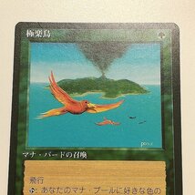 sB317o [人気] MTG 極楽鳥 Birds of Paradise 第4版 黒枠 4ED 緑 R レア 日本語版_画像6