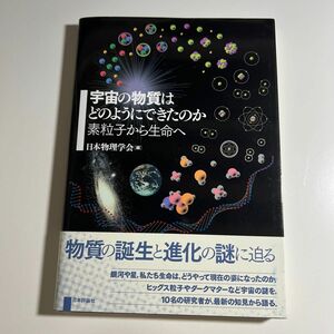 宇宙の物質はどのようにできたのか　素粒子から生命へ 日本物理学会／編