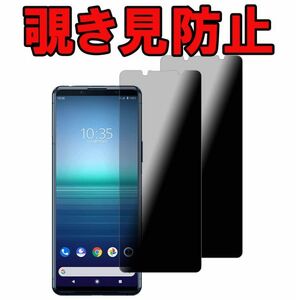 2枚入り Xperia 1 IV 覗き見 防止 SO-51C SOG06 エクスペリア ワン マーク フォー ガラス フィルム 保護 カバー シール スクリーン Film 9H