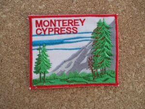 モントレーサイプレス MONTEREY CYPRESS ビンテージ ワッペン/自然Cupressus macrocarpa木工ヒノキ家具PATCH檜vintage山カリフォルニア D10