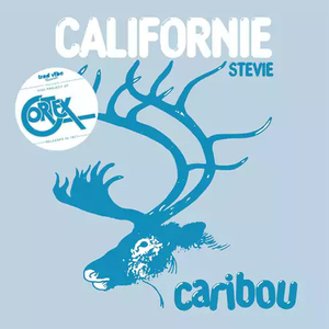 新品 7” ★ Caribou - Californie ★ Cortex アナログ レコード オルガンバー サバービア フリーソウル muro kiyo koco funk45 小西康陽