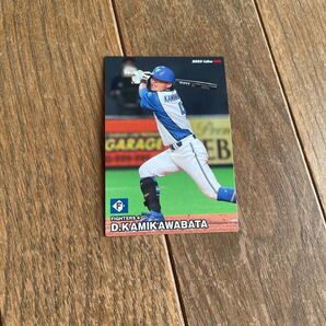 プロ野球チップス、上川畑大悟、 プロ野球チップスカード