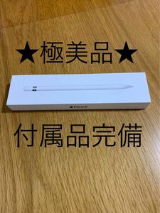 付属品完備★純正★動作品★Apple Pencil★アップル ペンシル 第1世代 MK0C2J/A (A1603)_A10