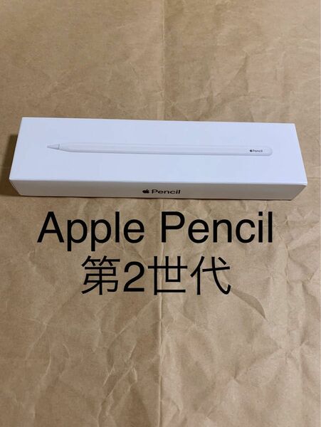 純正 Apple Pencil 2 アップル ペンシル 第2世代 MU8F2J/A (A2051)__F4