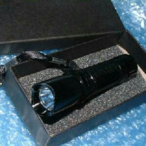 災害対策用に ledライト アルミボディで電池付きです