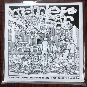 【未使用 限定7”】☆入手困難 ハワイ産AOR名曲☆ Tender Leaf / Countryside Beauty