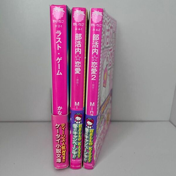 ケータイ小説 野いちご 3冊