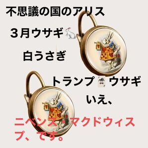ニベンズ・マクドウィスプ白うさぎピアス
