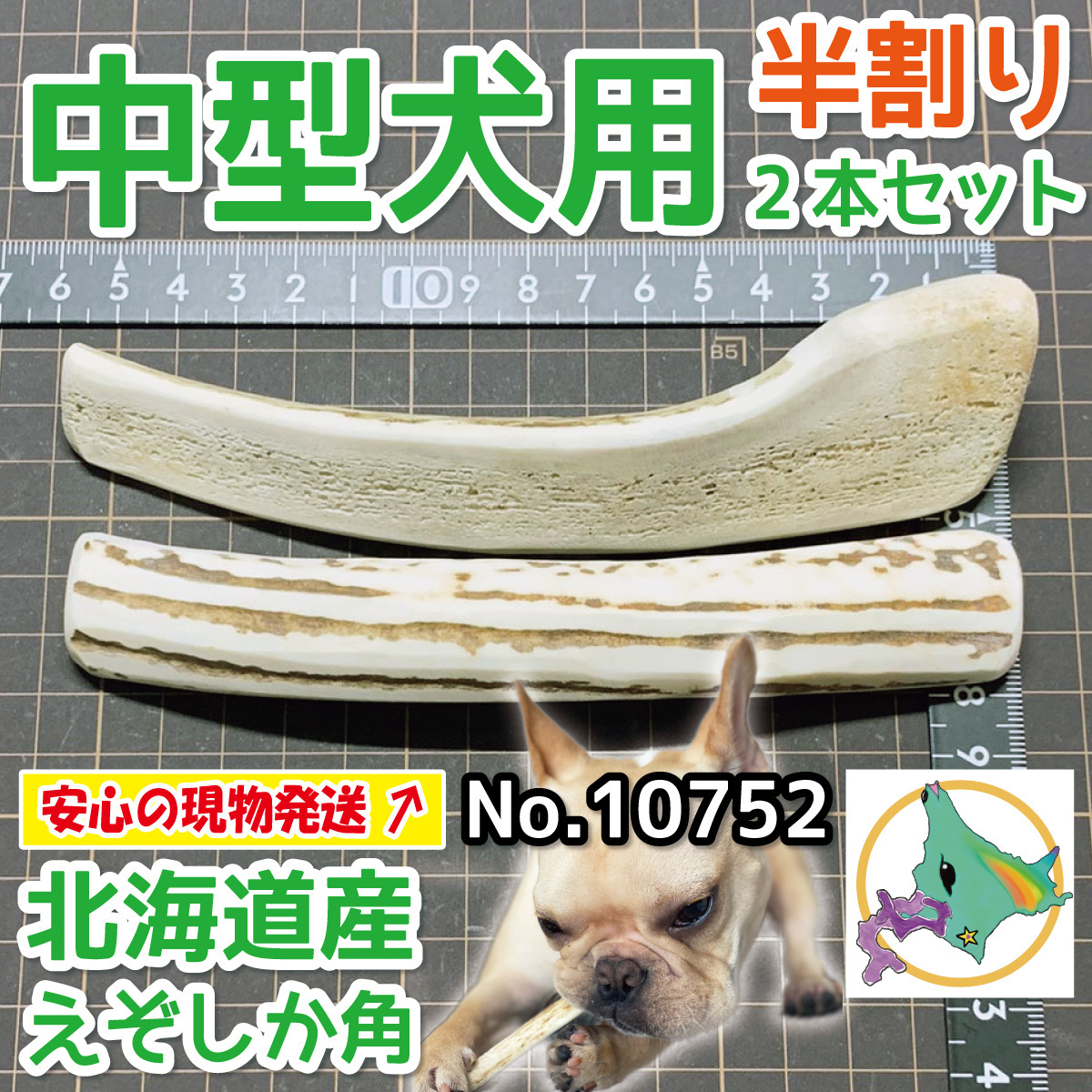珍しい 鹿の角 北海道 道東産 鹿の角 10本セット No.4 - poumonquebec.ca