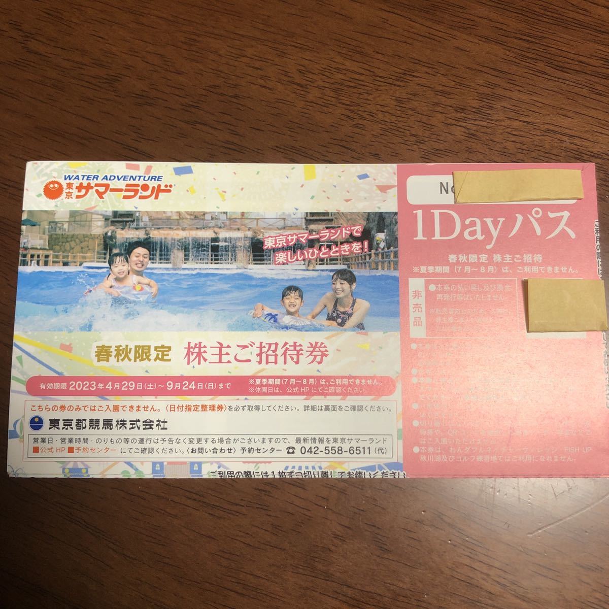 ⭐︎夏休み利用可○東京サマーランド株主優待○ご招待券4枚 4い