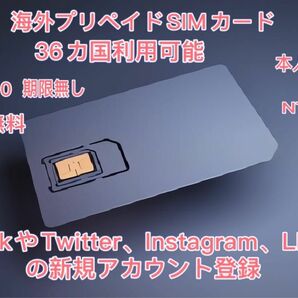 海外プリペイドSIMカード日本で使える　SMS受信無料　毎月の基本料金はゼロ