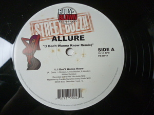 Allure / I Don't Wanna Know (Remix) 試聴可 哀愁メロウ12 Fugees / Ready Or Not 同ネタ　Mario Winansと相性最高 