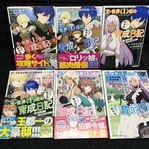 元・世界1位のサブキャラ育成日記　1〜6巻セット　全初版　沢村治太郎　前田理想　まろ_画像1