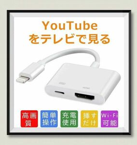 HDMI ケーブル 変換アダプタ iPhone用/iPad/iPodをテレビ出力