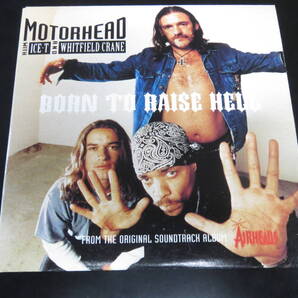 紙ジャケ!Motorhead with Ice-T and Whitfield Crane - Born to Raise Hell 輸入盤シングルCD(オーストラリア 74321 22348 2, 1994)