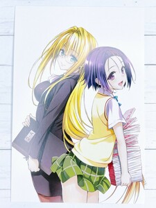 ☆ To LOVEる とらぶる 15周年記念原画展 ポストカード ティアーユ 西連寺春菜 ☆