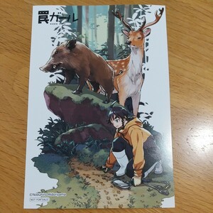 【新品未使用】非売品 罠ガール ポストカード イラストカード