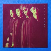 スピッツ Spitz 1999年 2枚組 10インチレコード 花鳥風月 Kachou Fugetu 国内盤 J-Rock 弦一徹グループ 草野マサムネ_画像6