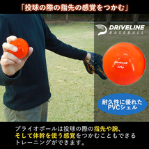 Driveline PlyoCare ball ボール プライオボール 野球 トレーニングボール 全6種 練習用 ウエイトボール バランスボール エクササイズ_画像4