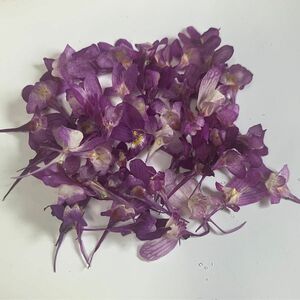 ドライフラワー　花　パーツ　ハンドメイド　花材　ハーバリウム　レジン