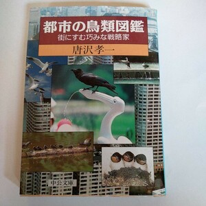 都市の鳥類図鑑 街にすむ巧みな戦略家 中公文庫／唐沢孝一 (著者)