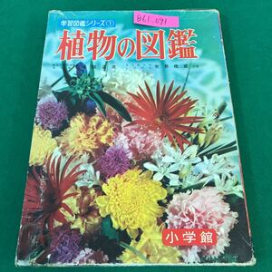 B61-091 小学館の 植物の図鑑 学習図鑑シリーズ① 本田 正次 牧野 晩成 共著 記名塗りつぶし有り