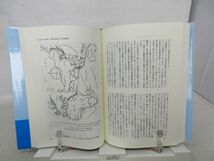 F5■日本海海戦から100年 アルゼンチン海軍観戦武官の証言【著】マヌエル・ドメック・ガルシア【発行】鷹書房弓プレス 2005年◆並■_画像9