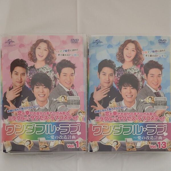 ワンダフル・ラブ~愛の改造計画~全巻 韓国ドラマ DVD