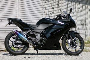 リアライズ マフラー Aria チタンTypeC Ninja250R