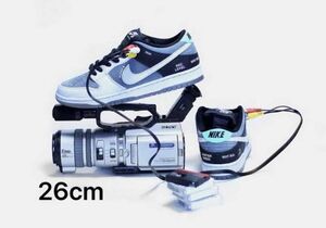 Nike SB Dunk Low Pro "VX1000 Camcorder"