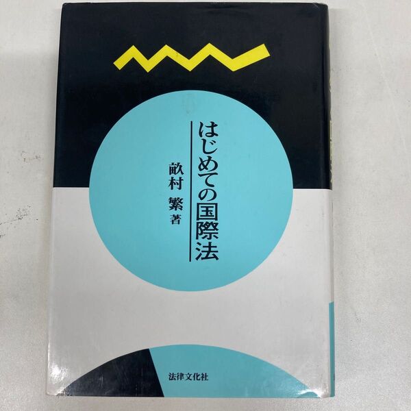 国際法 初めての国際法 法律文化社 法律 法学 法学部 大学 参考書