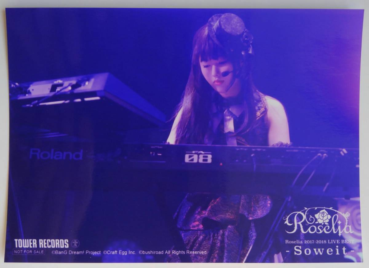 ■即決■Blu-ray Roselia 2017-2018 LIVE BEST -Soweit- タワーレコード購入特典のみ 2Lサイズ ブロマイド 志崎樺音 BanG Dream! 非売品, タレントグッズ, 写真