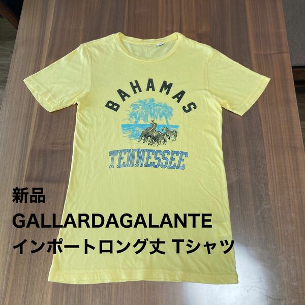 新品 GALLARDAGALANTE ガリャルダガランテ インポート RXMANCE ロング丈 Tシャツ