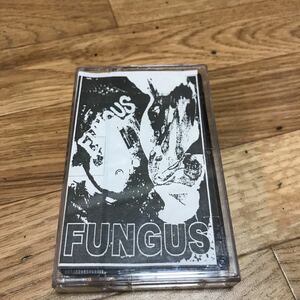 FUNGUSデモテープ 貴重